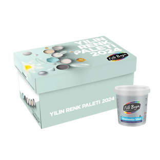 Yılın Renk Paketi Momento Silan