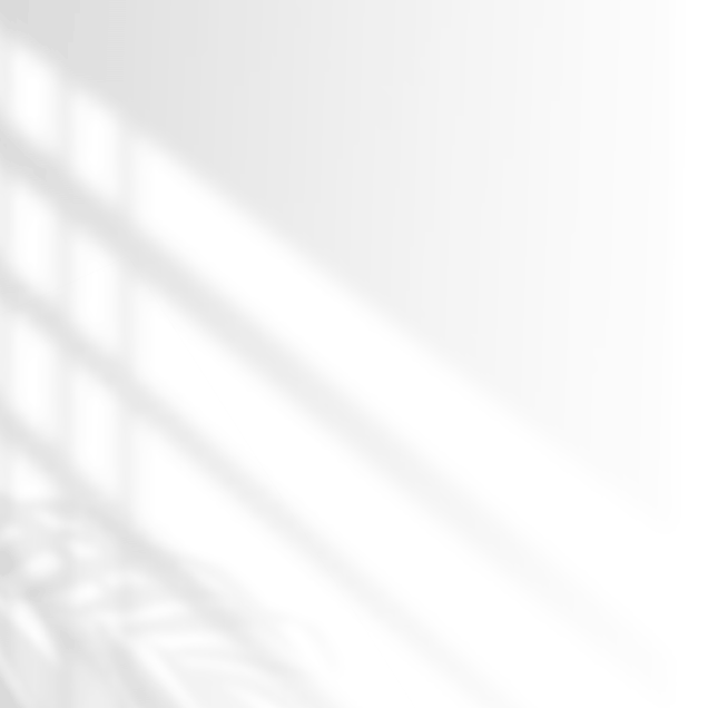 Momento Silan Banner 6