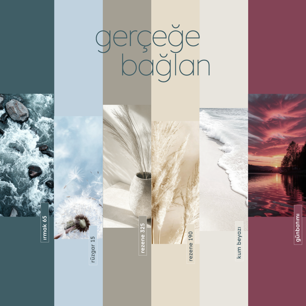 2026 Yılın Renk Paleti