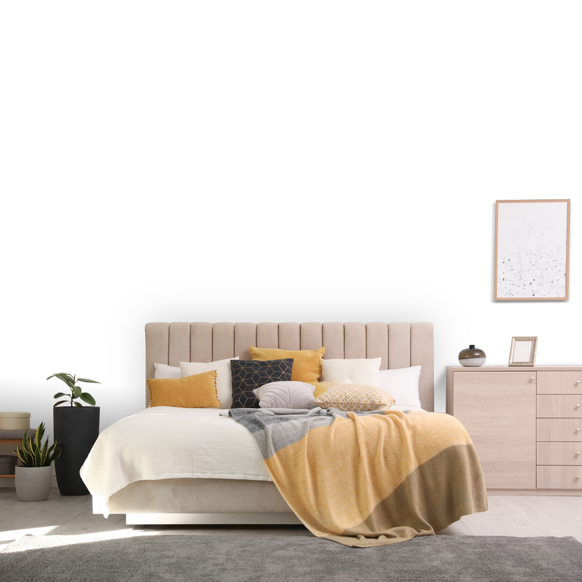 Momento Plus Banner 4