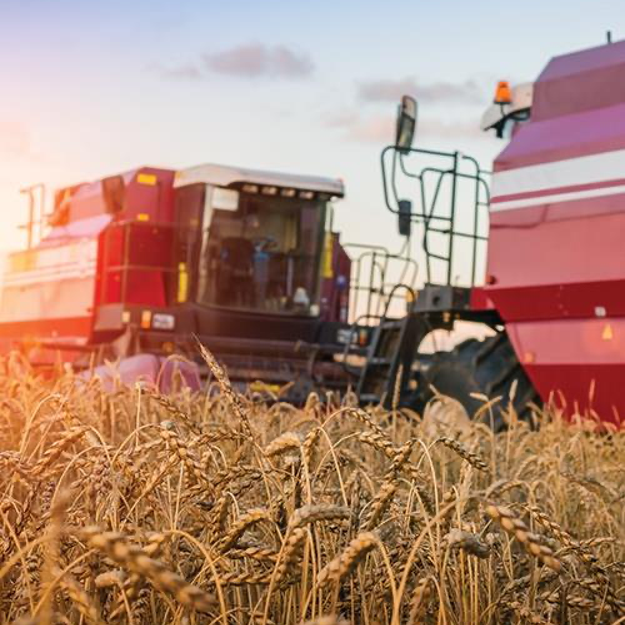 Poliüretan Sistemler